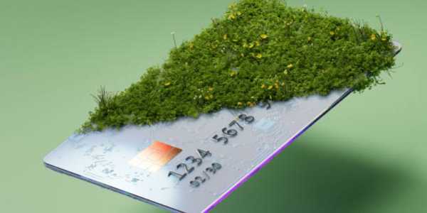 Best Credit Cards For Eco-Conscious Shoppers (Sustainable Rewards!)
